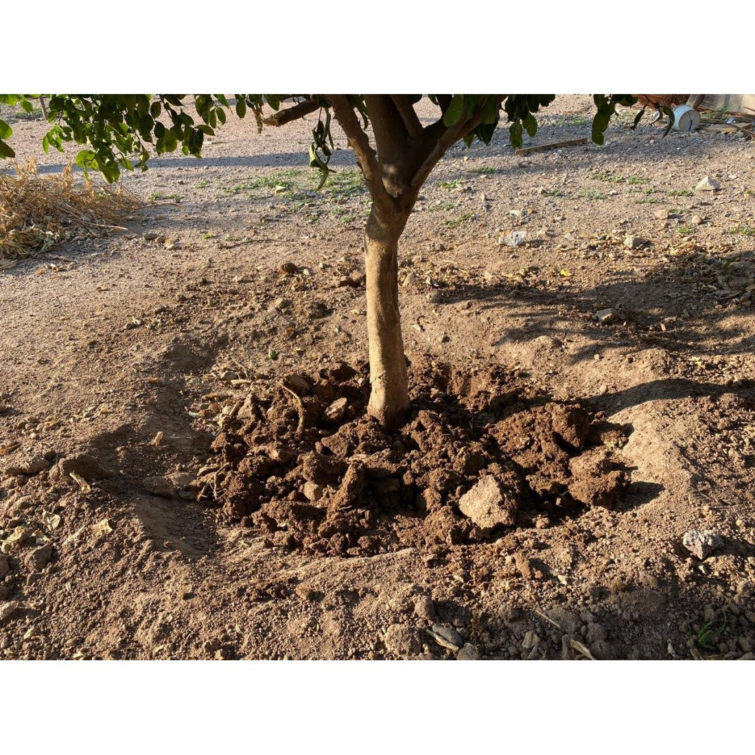 Aditiv Pentru Sol Care Reține Apa și Reduce Udările – SOIL WATER TRAP