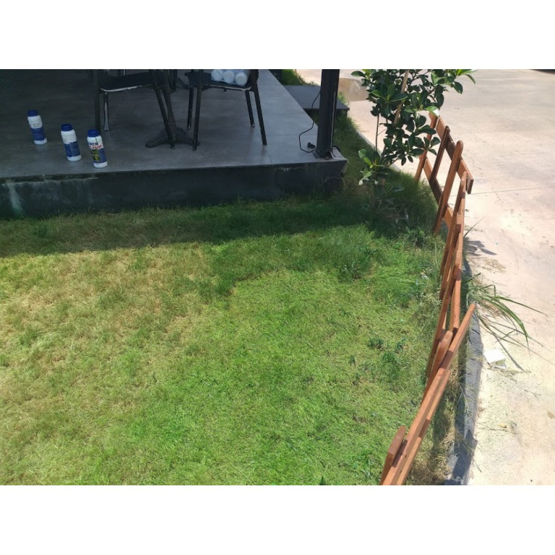 Vopsea Organică pentru Iarbă și Gazon 1 kg – GRASS PAINT