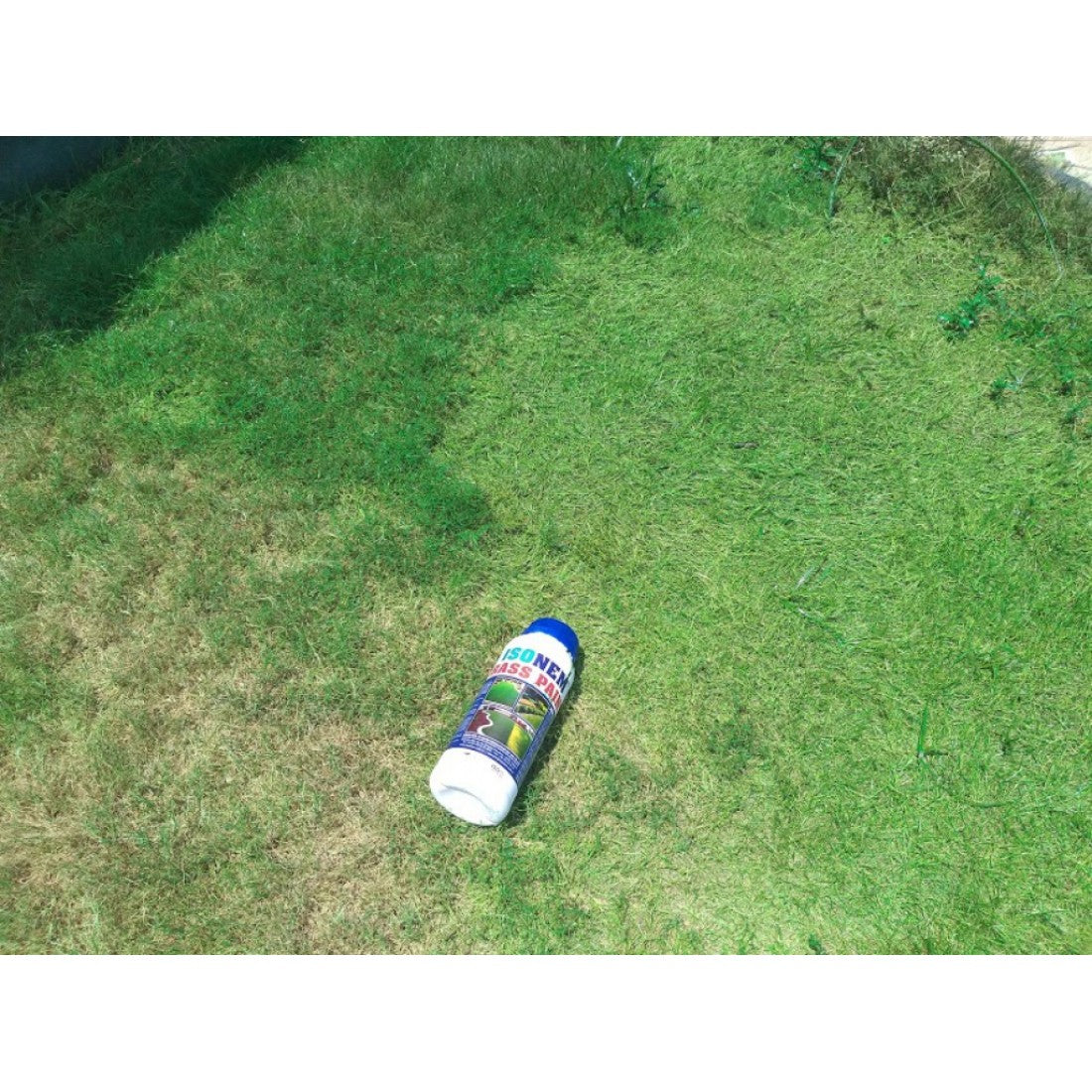 Vopsea Organică pentru Iarbă și Gazon 1 kg – GRASS PAINT