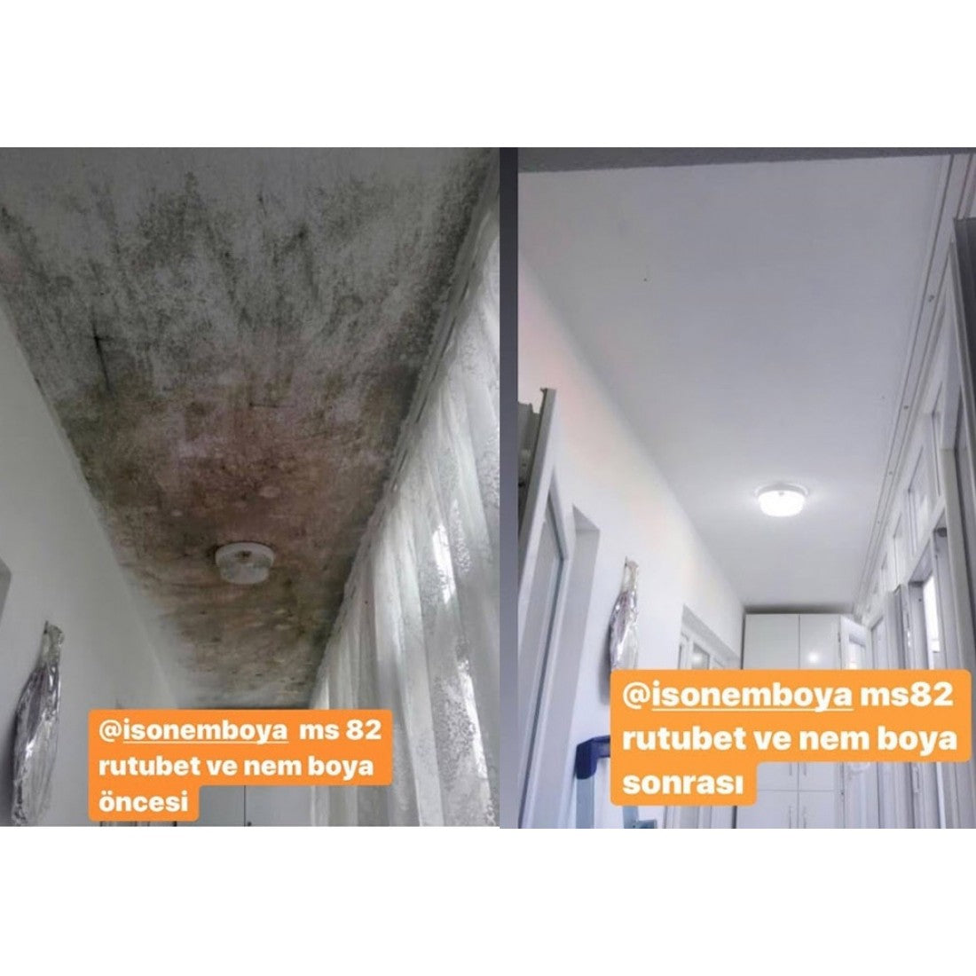 Soluție Antimucegai și Antiumiditate pentru Pereți – MS 82