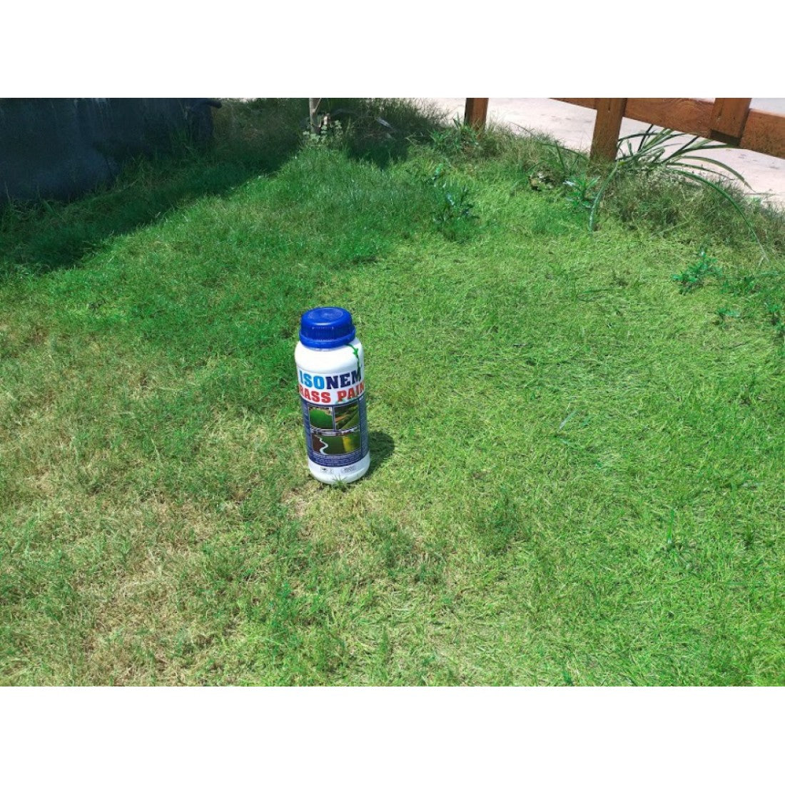 Vopsea Organică pentru Iarbă și Gazon 1 kg – GRASS PAINT