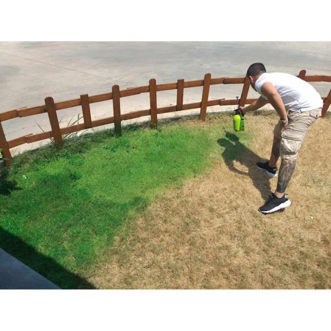 Vopsea Organică pentru Iarbă și Gazon 1 kg – GRASS PAINT