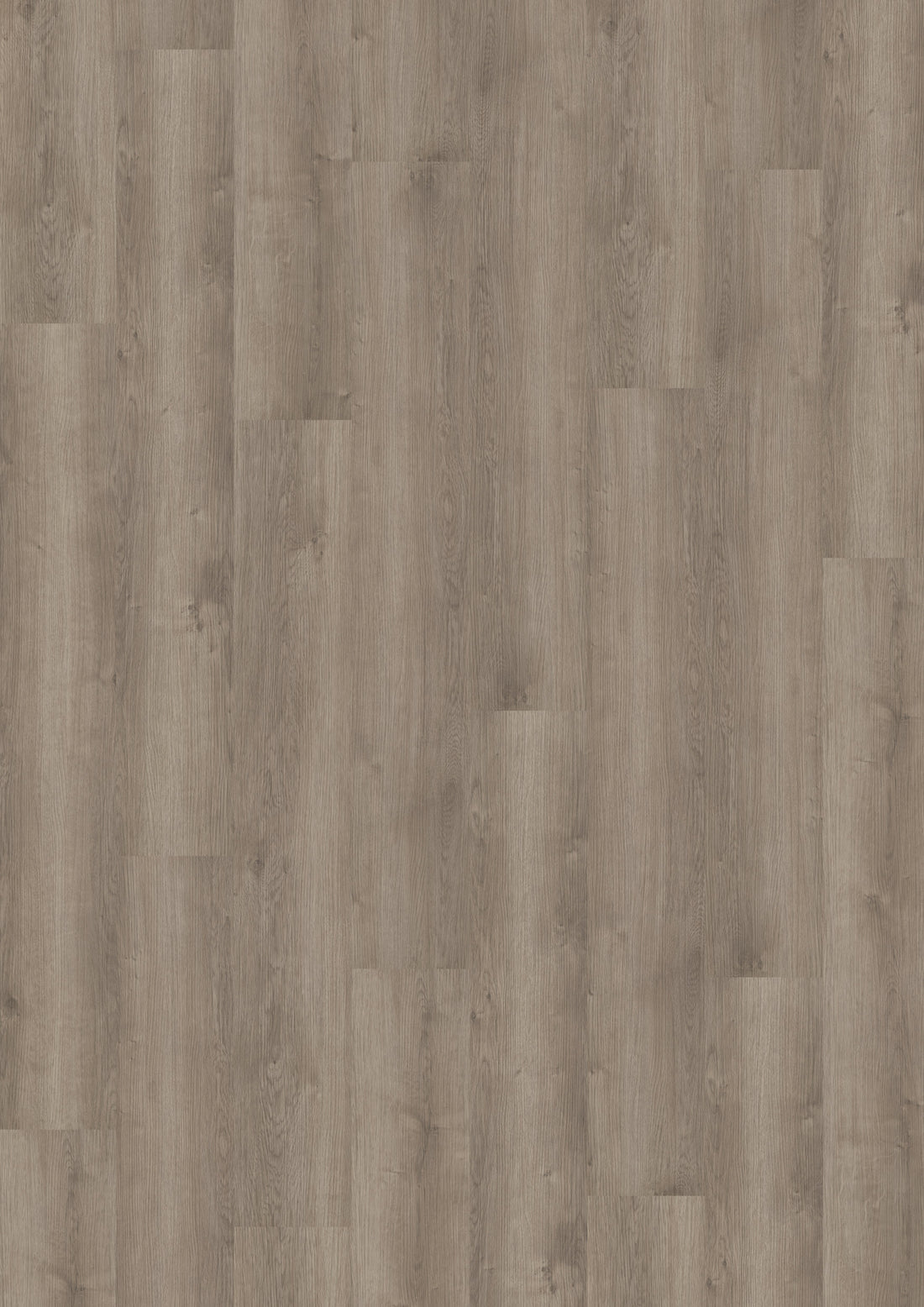 Parchet SPC 5 mm Noble Oak Greige - Home30