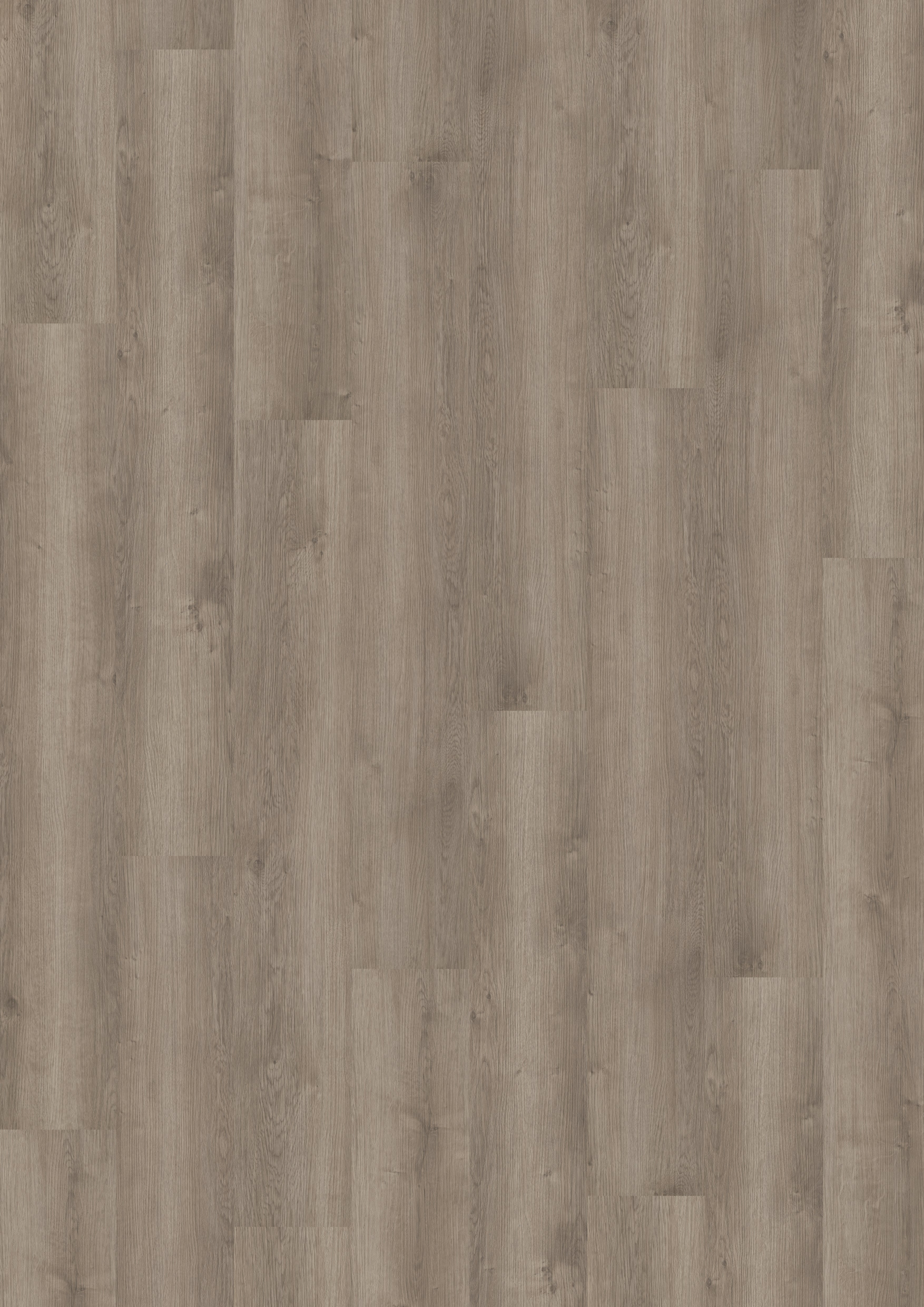 Parchet SPC 5 mm Noble Oak Greige - Home30