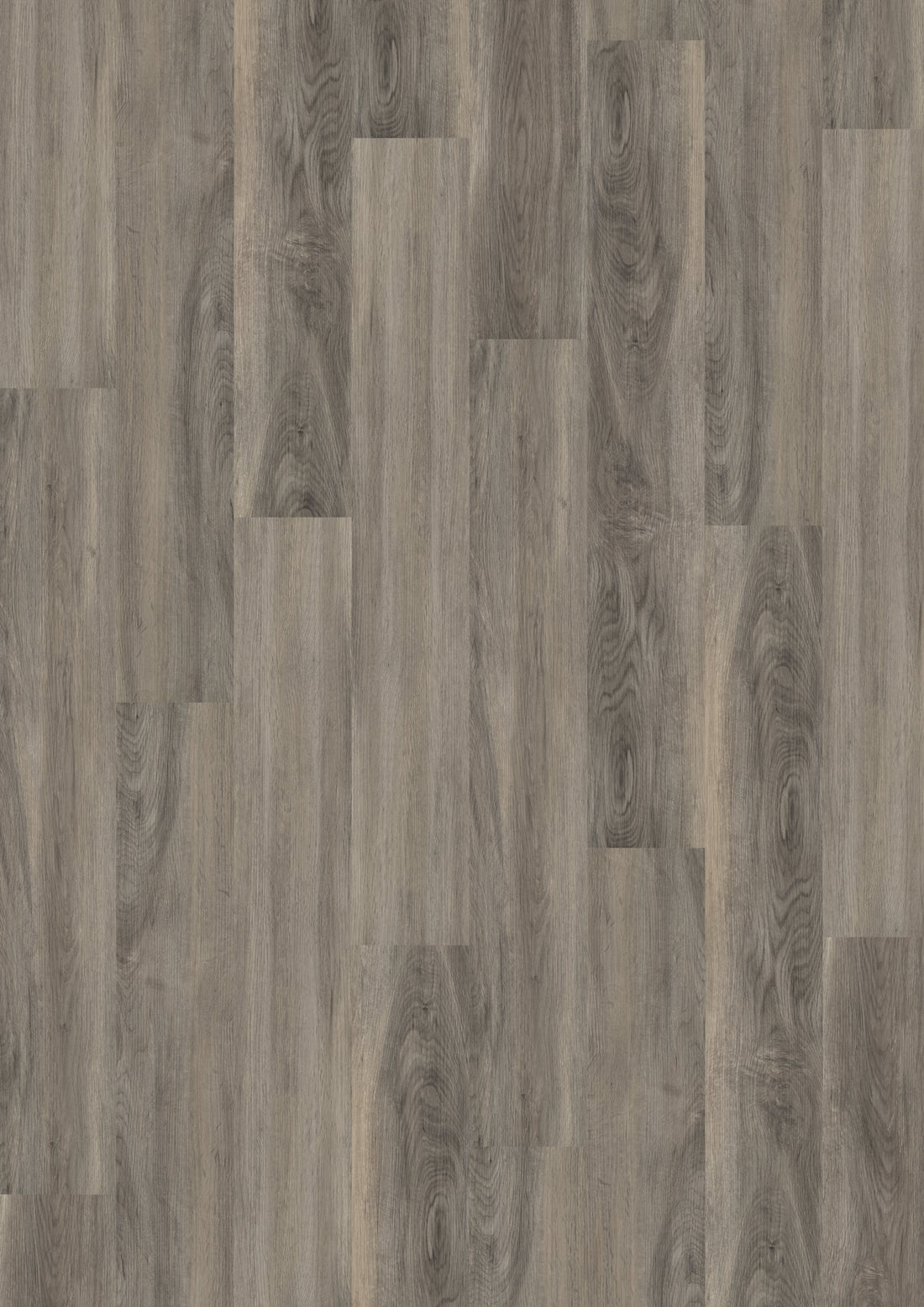 Parchet SPC 5 mm Dockside Oak Natural Light - Home30