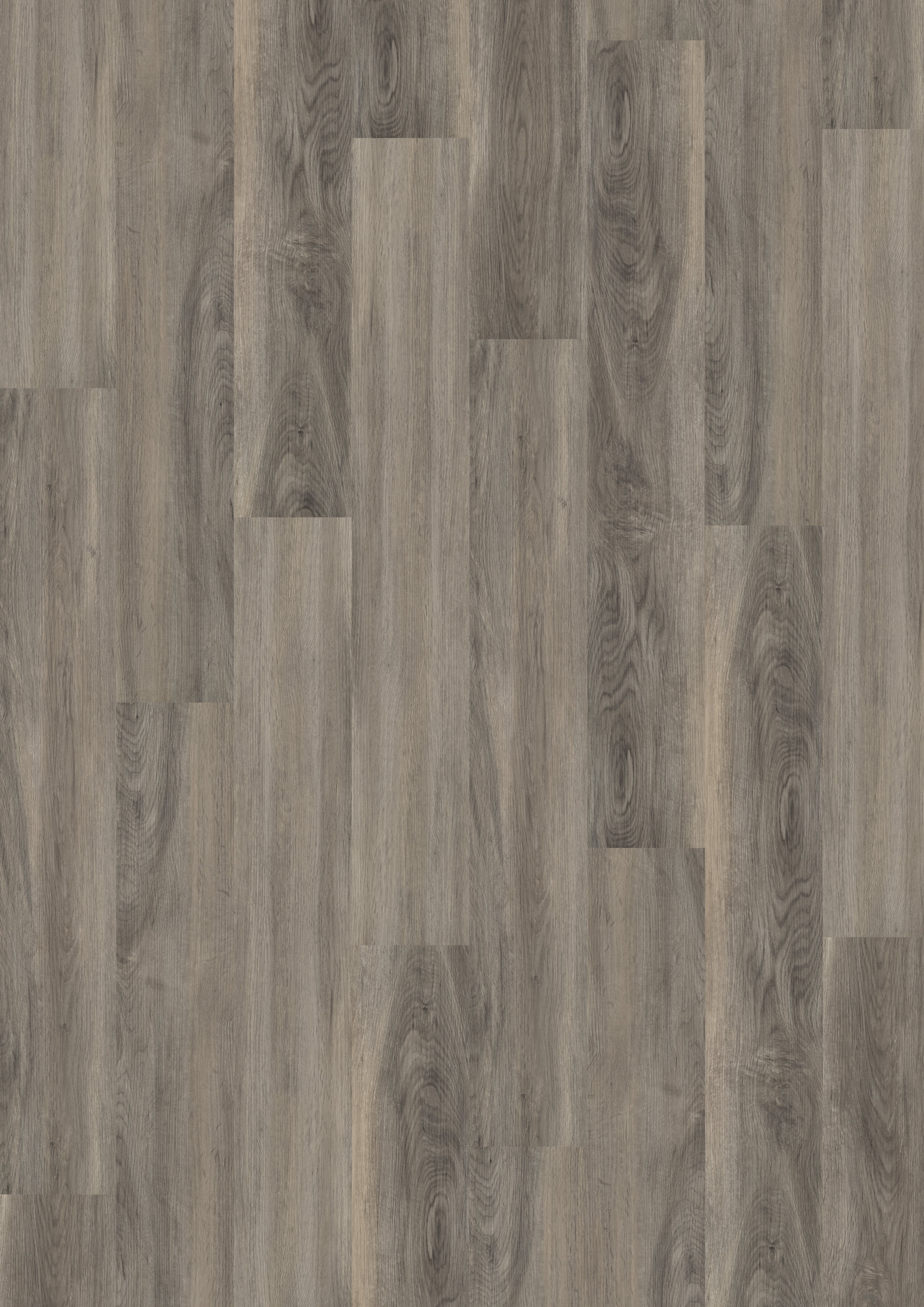 Parchet SPC 5 mm Dockside Oak Natural Light - Home30