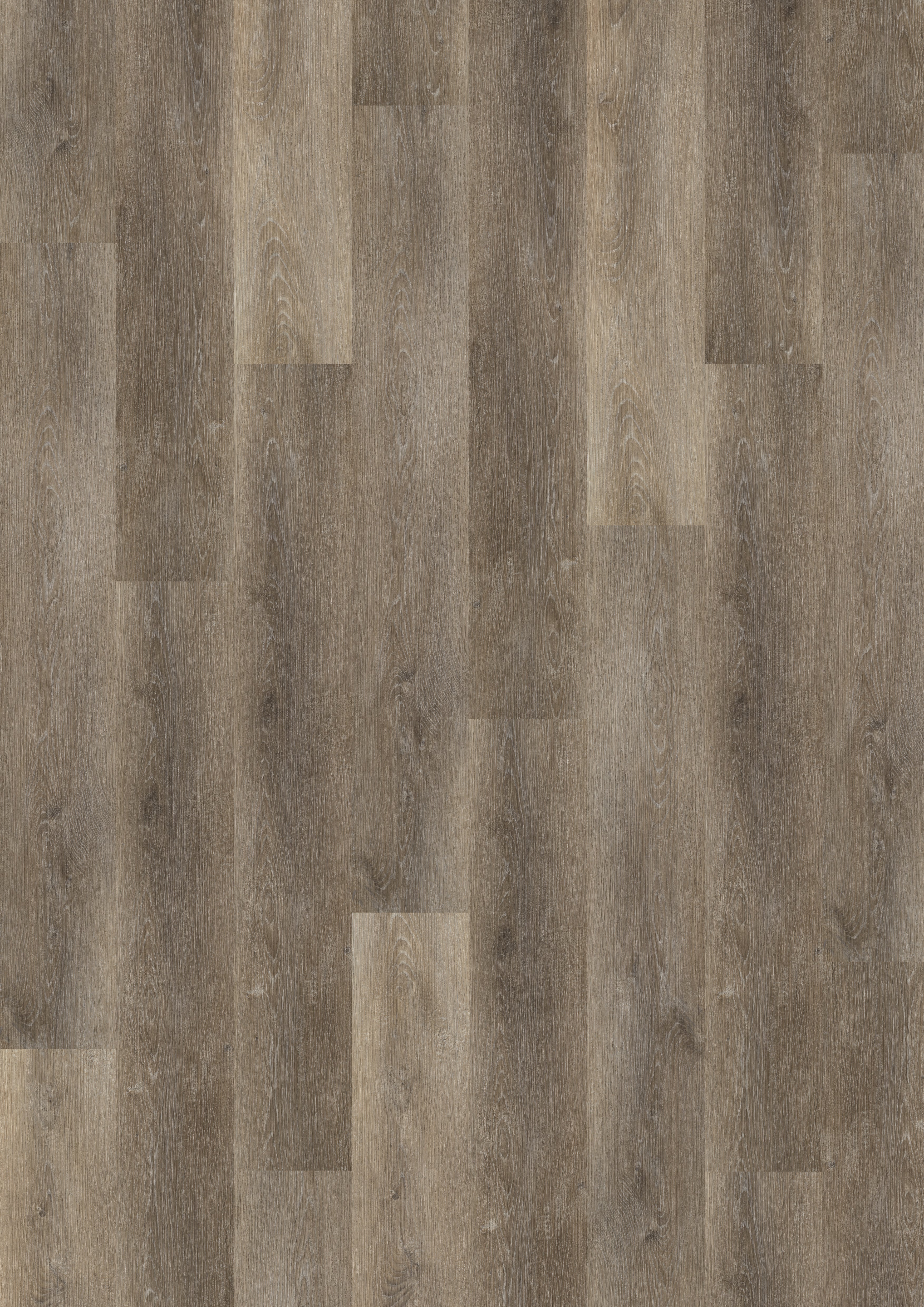 Parchet SPC 5 mm Traditional Oak Natural Light - Home30