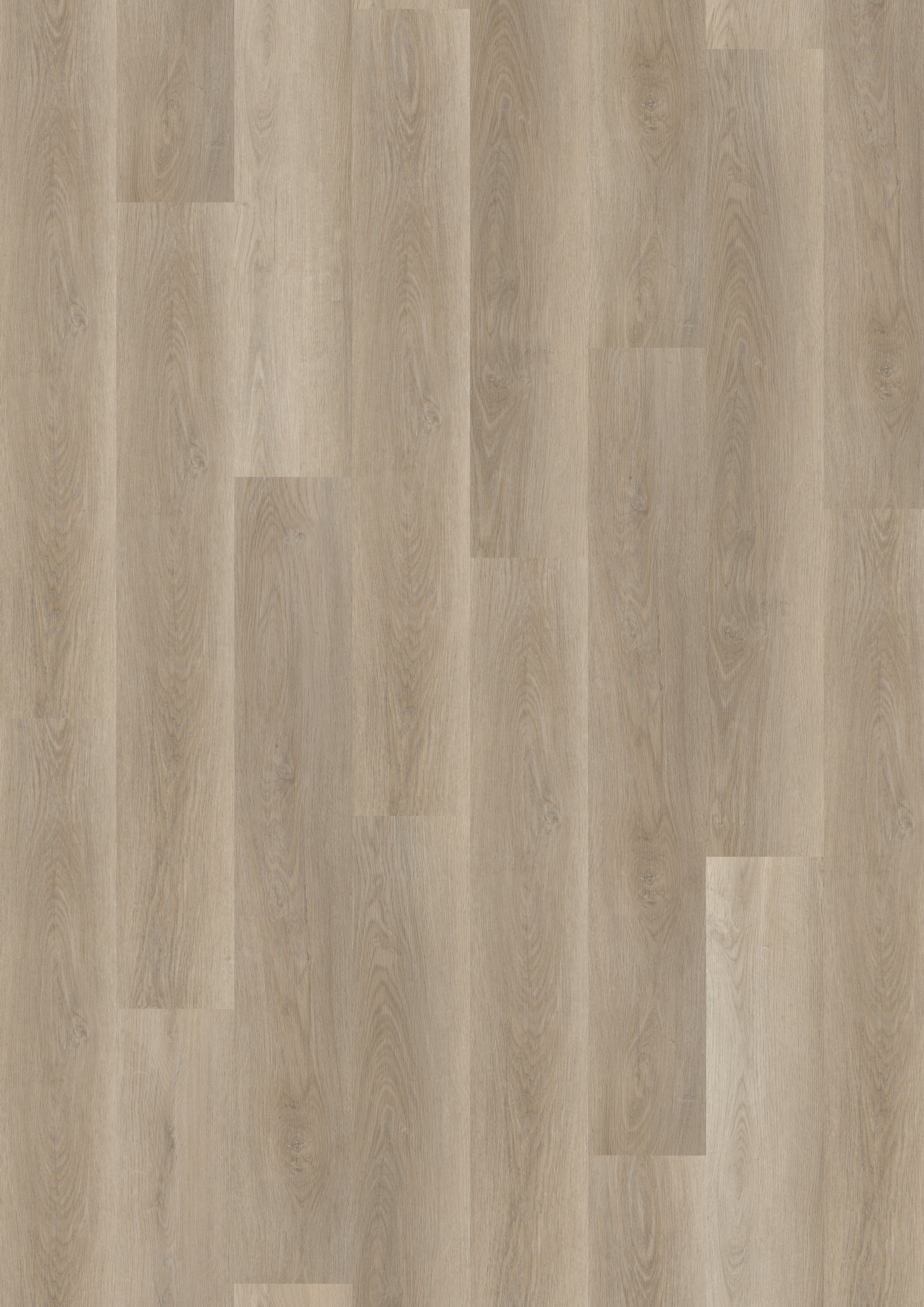 Parchet SPC 5 mm - Soft Oak Greige - Home30