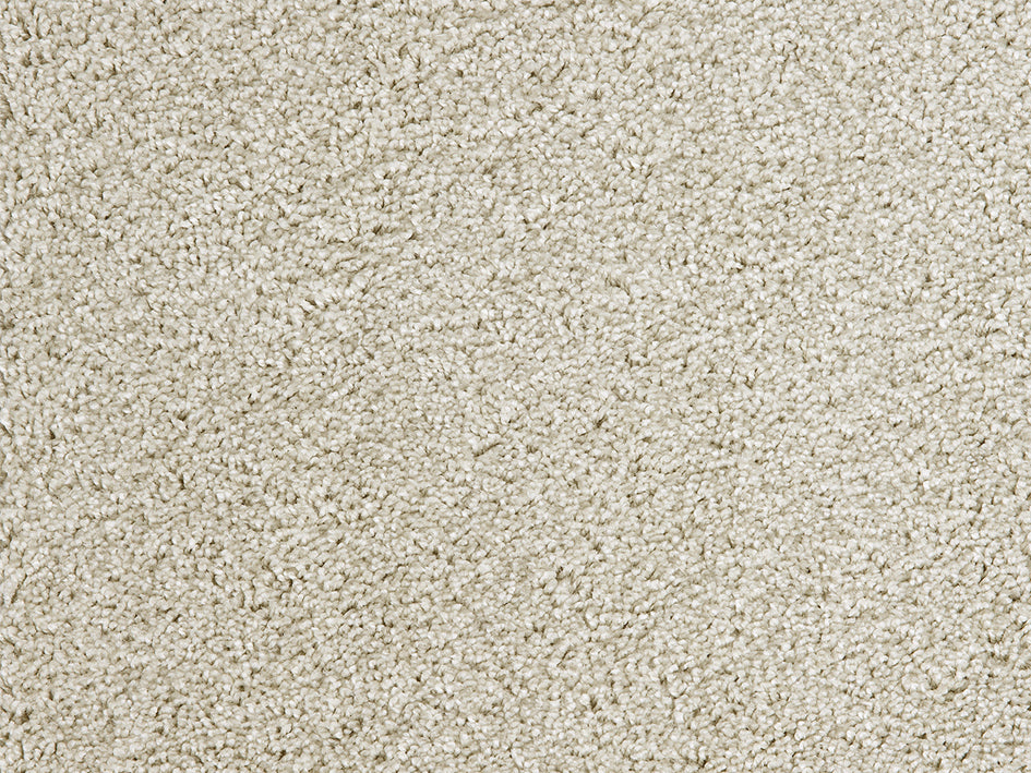 Mochetă de interior textura pufoasa diverse culori Premium Satino Casanova