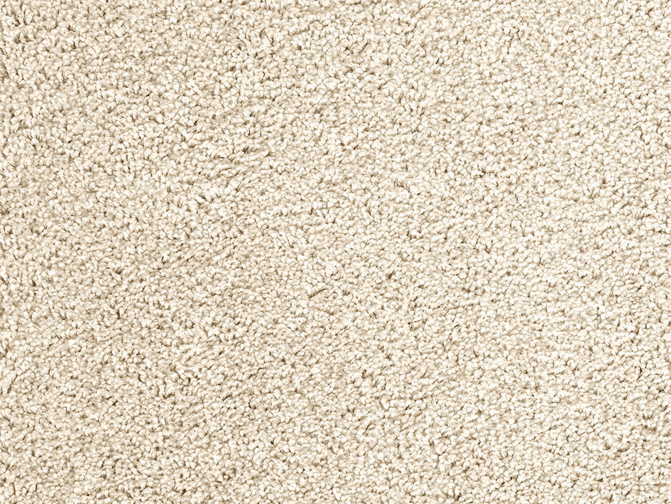 Mochetă de interior textura pufoasa diverse culori Premium Satino Casanova