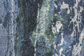 Covor Cadenza - Covor - Softambient