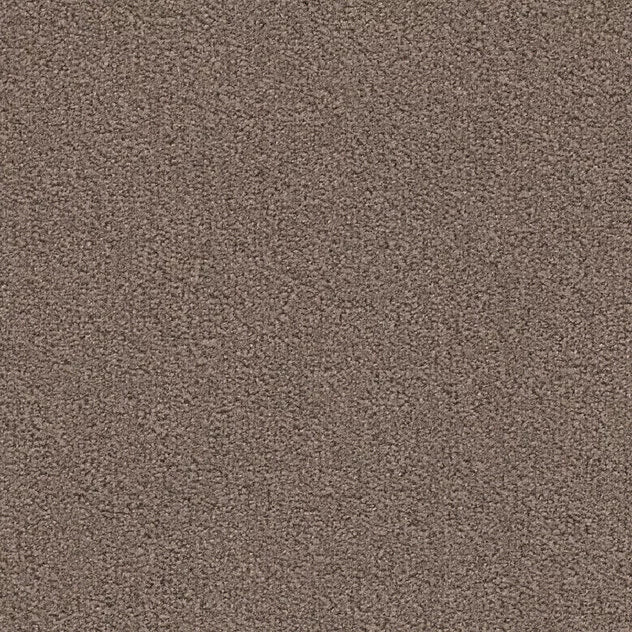 Mochetă de interior in diverse culori Premium Chip Melange