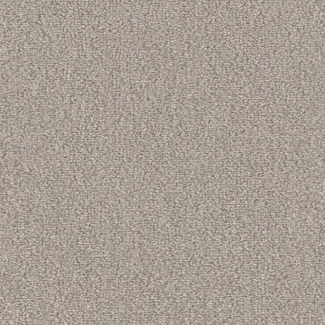 Mochetă living diverse culori Premium Cosy Gloss