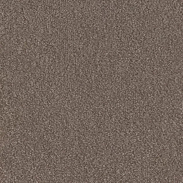 Mochetă living diverse culori Premium Cosy Gloss