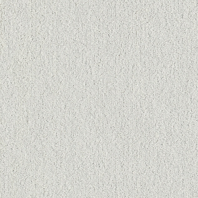 Mochetă interior living diverse culori Premium Cotone Touch