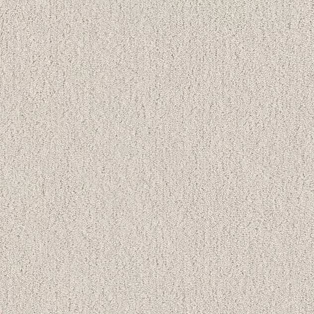 Mochetă interior living diverse culori Premium Cotone Touch