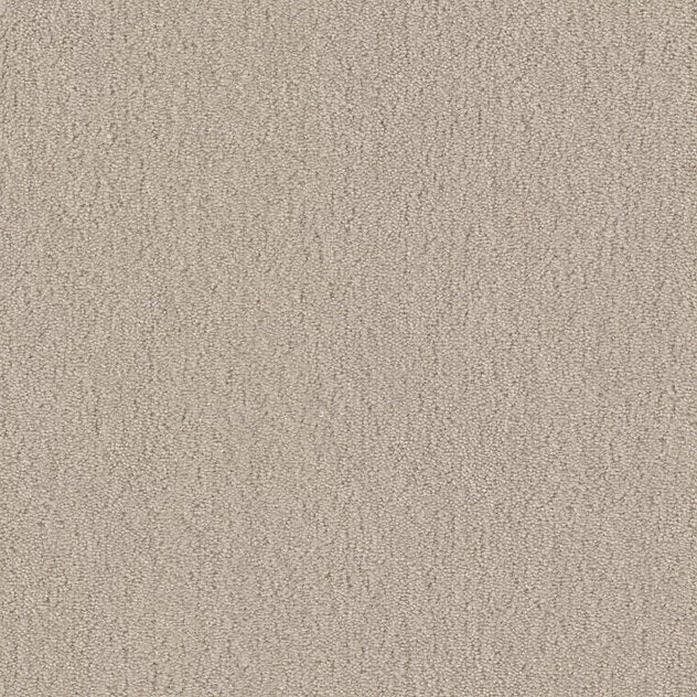 Mochetă interior living diverse culori Premium Cotone Touch