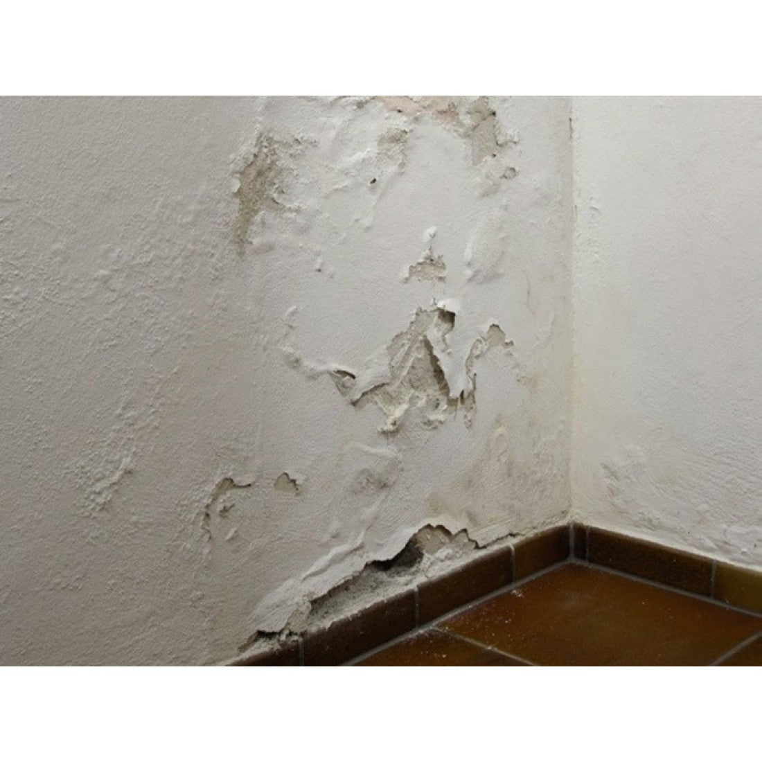 Tencuială pentru Zone cu Umiditate – MS 20