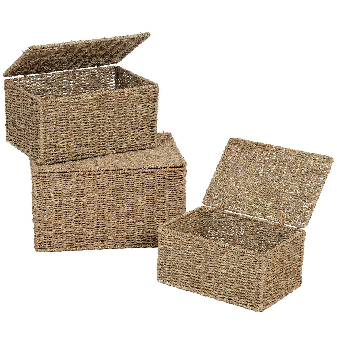 Set 3 Cosuri Vegetale - Natural - Set coșuri - Softambient