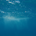 Rezervă odorizant cameră OCEAN BLUE – ulei esențial cu parfum marin și proaspăt