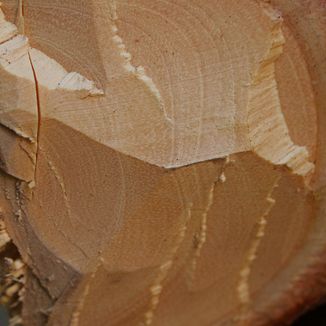 Rezervă odorizant cameră SANDAL WOOD – ulei esențial cu parfum lemnos de santal