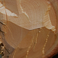 Rezervă odorizant cameră SANDAL WOOD – ulei esențial cu parfum lemnos de santal